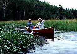 Marsh canoeing