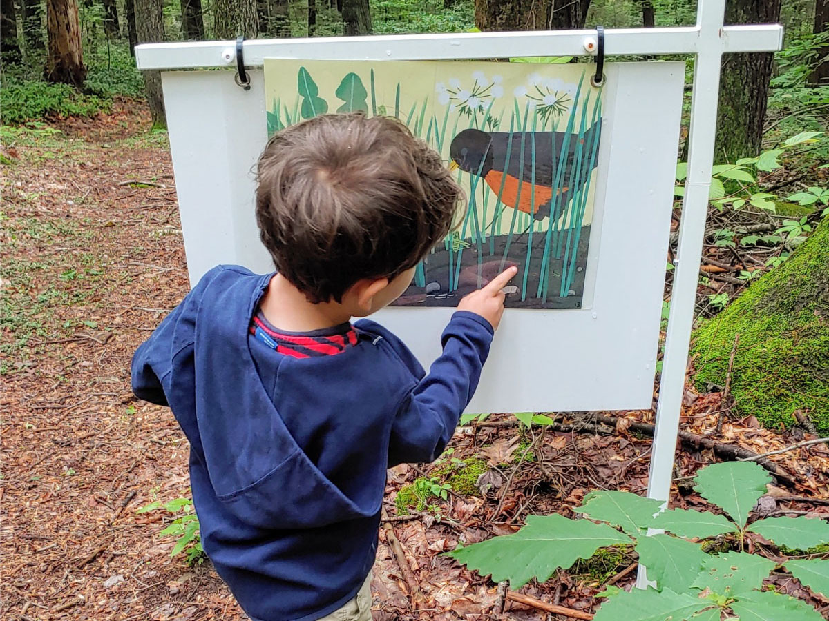 A child inspects a StoryWalk® sign
