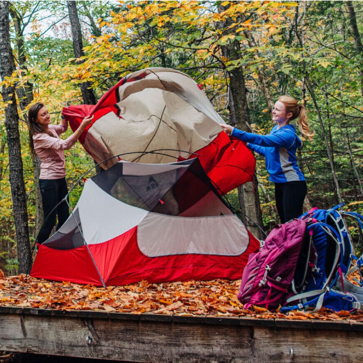 Campers set up a tent