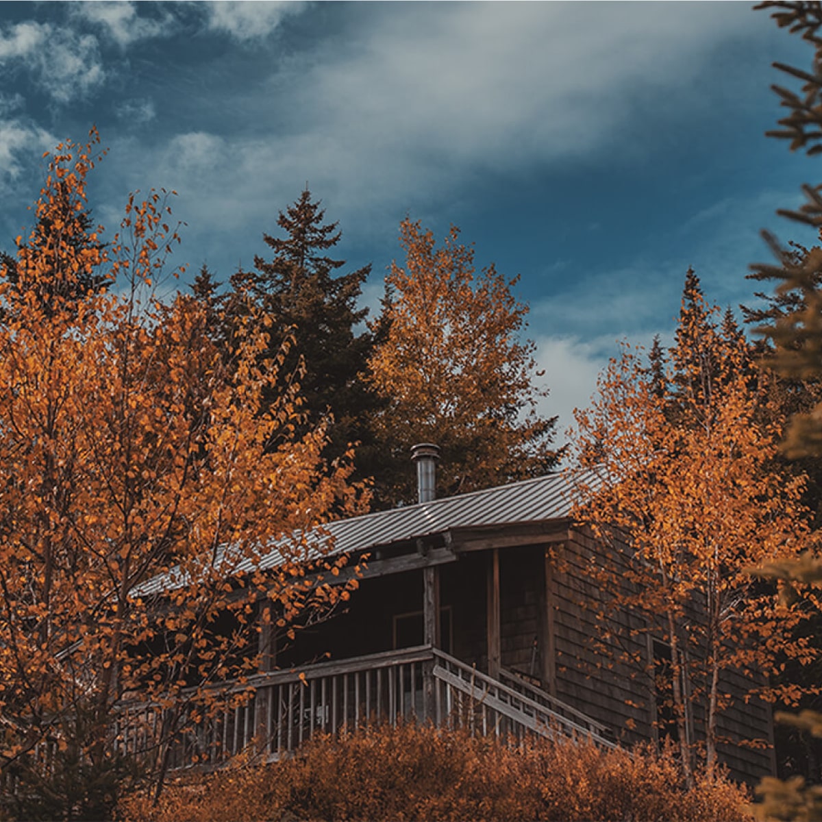 High Cabin in the fall