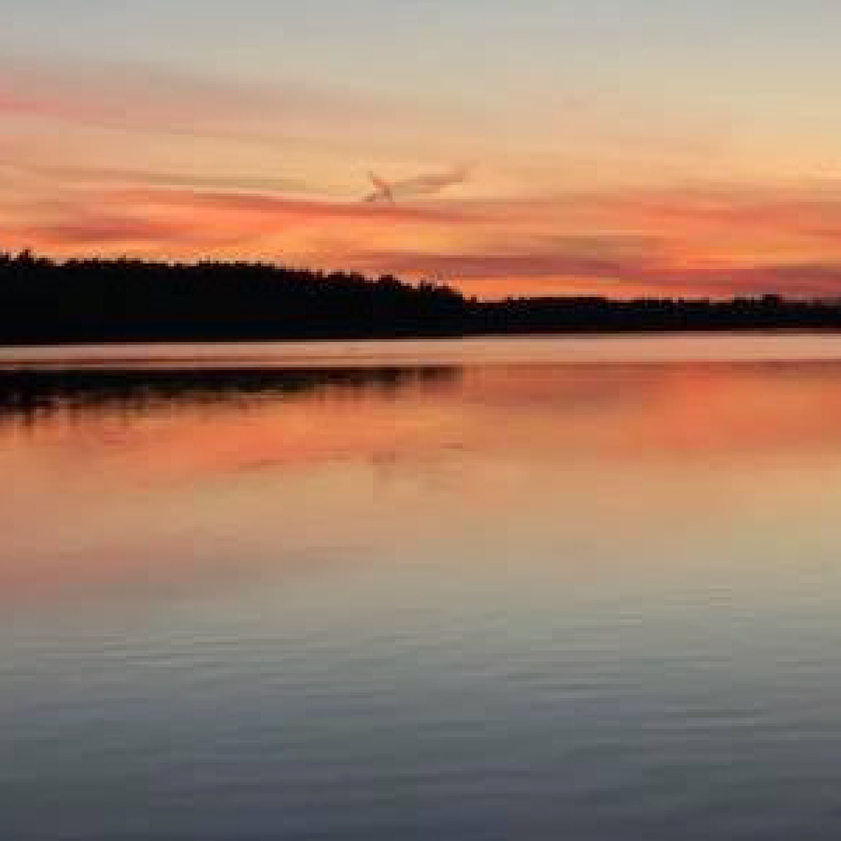 Lakeshore at sunset