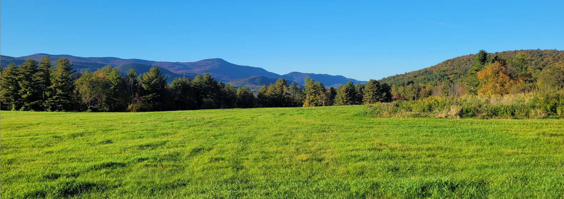 View of Mount Greylock