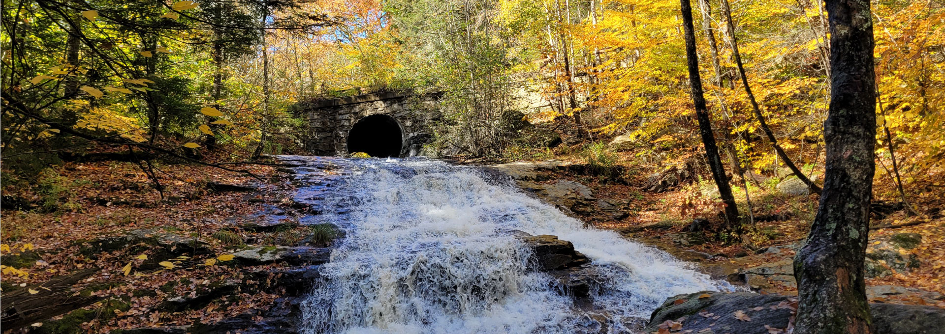 Cascading water at Chapel Falls