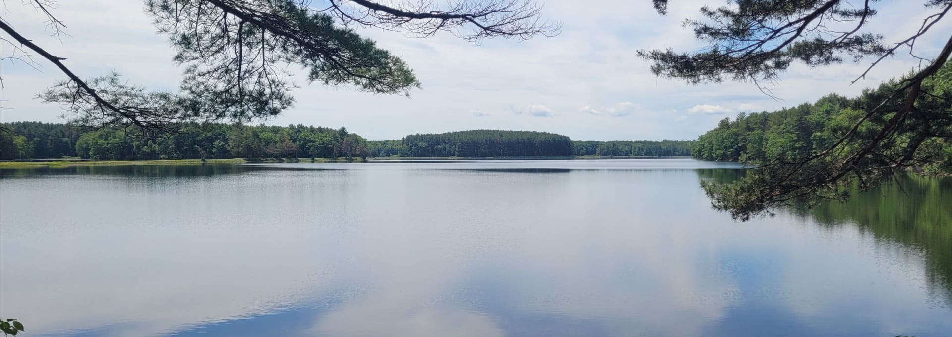 View of Ashley Reservoir