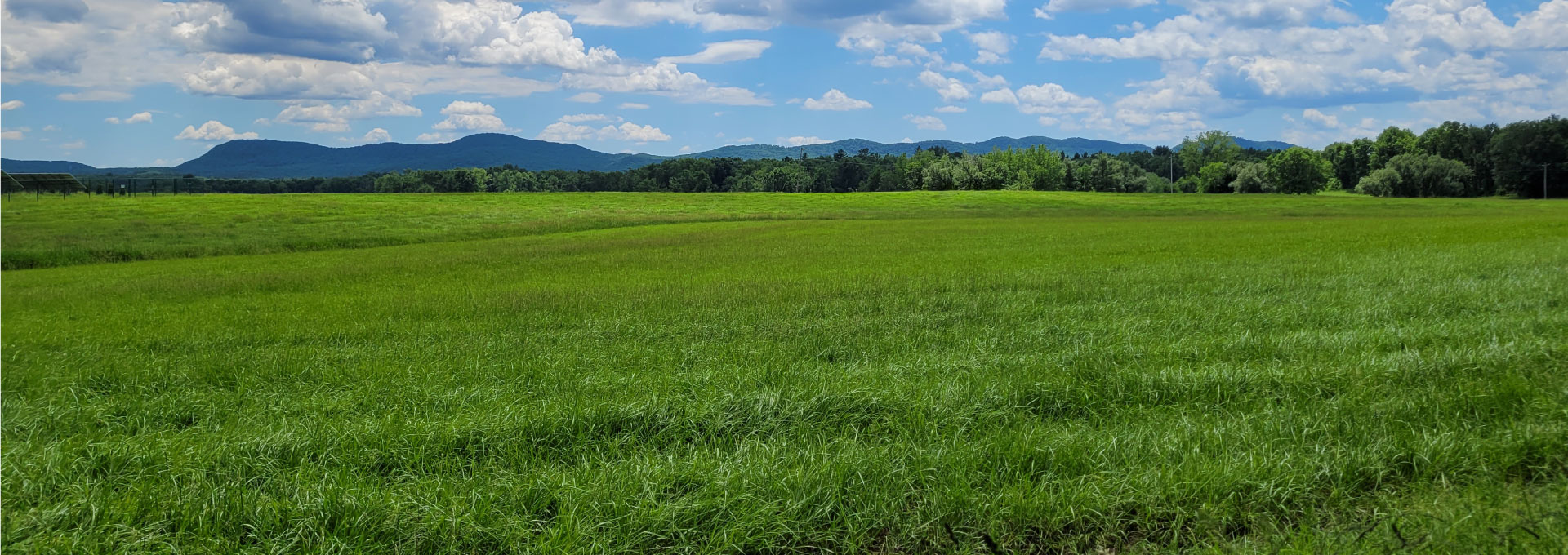 View of the Seven Sisters from Hadley, MA