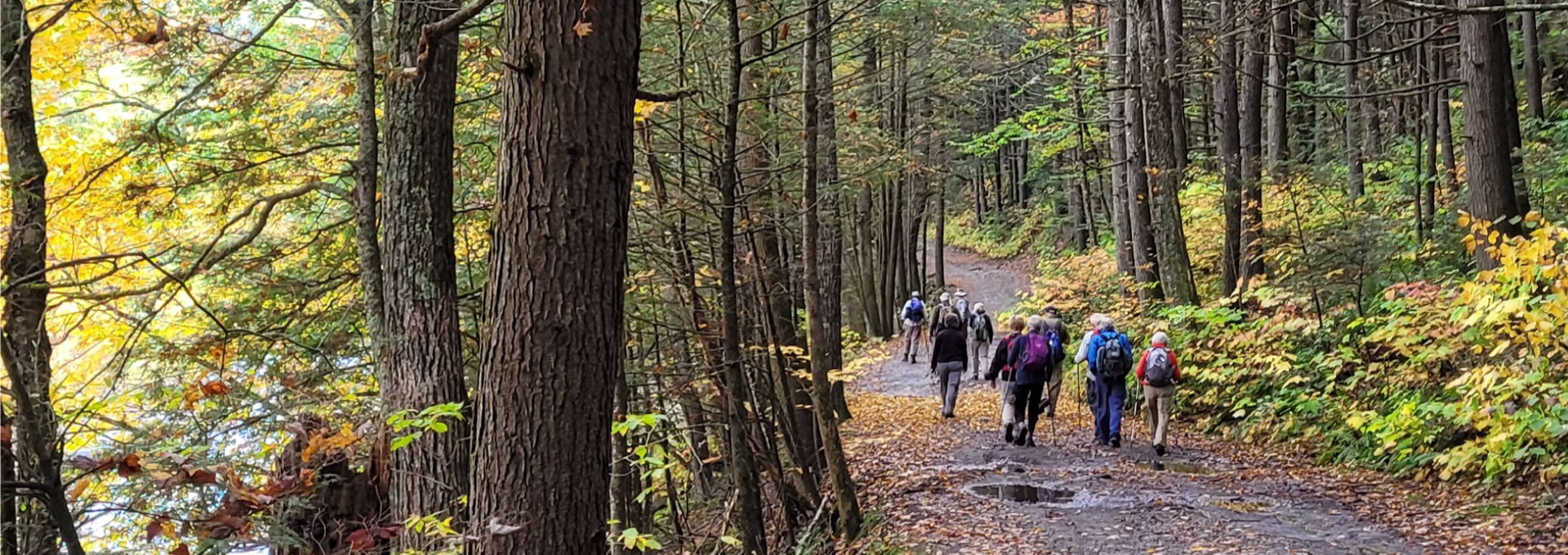 Hikers walk along Chesterfield Gorge