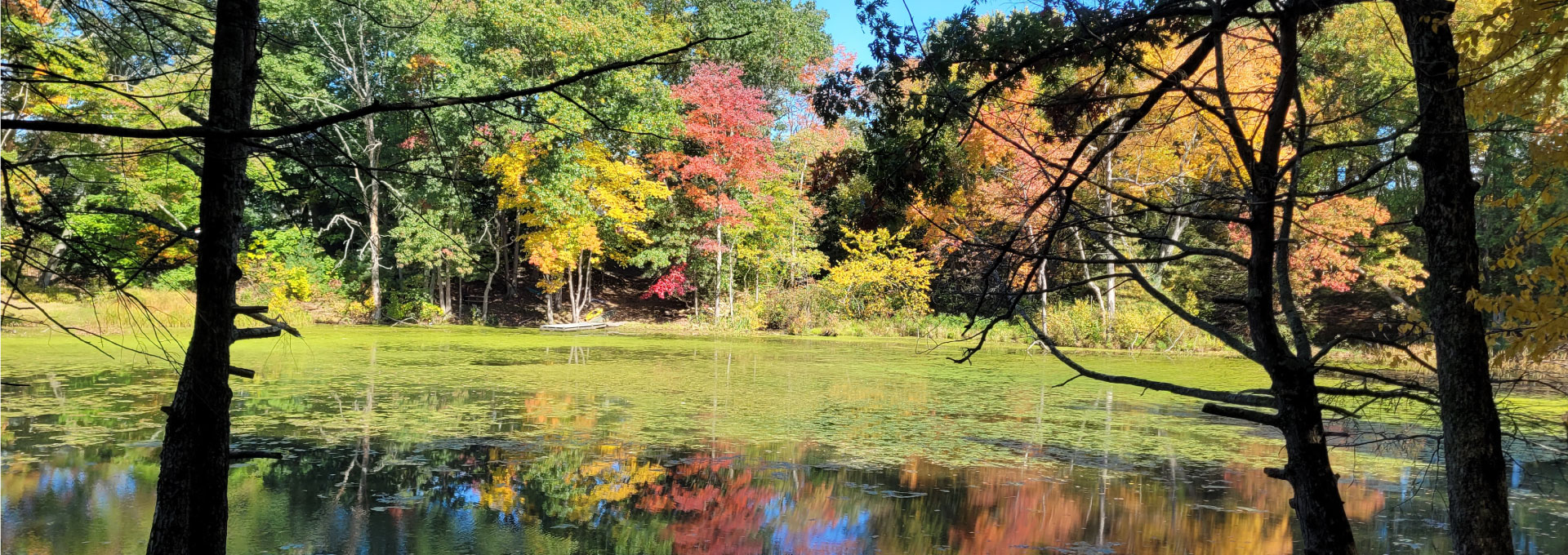 View of Nashawannuck Pond in the fall
