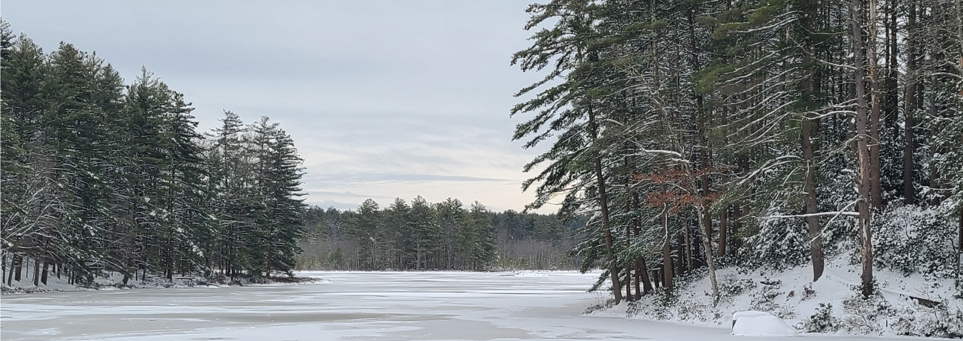 Lake shoreline in winter