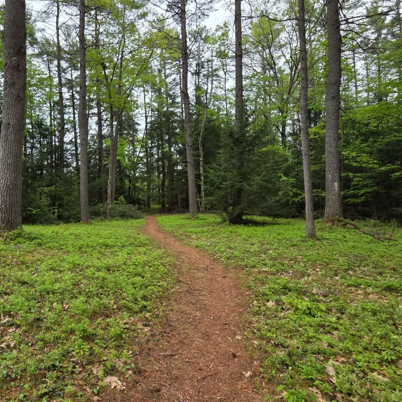 Adaptive trail