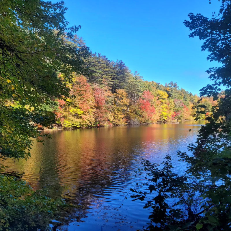 Shoreline of a reservoir on a fall day