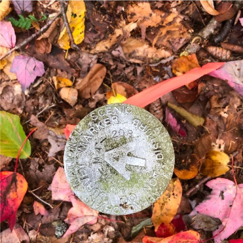 Trail marker