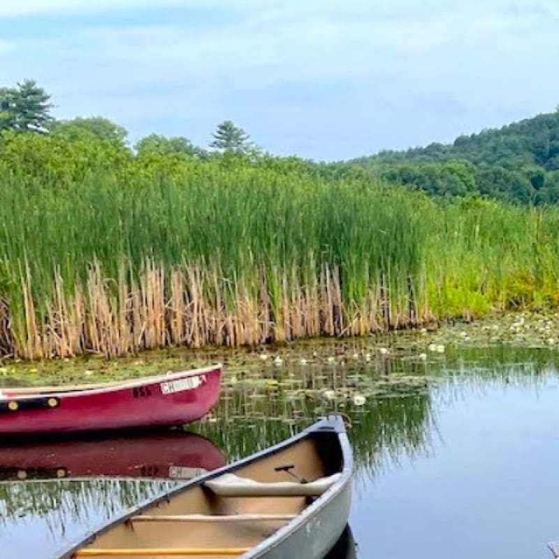 Boats on a pond