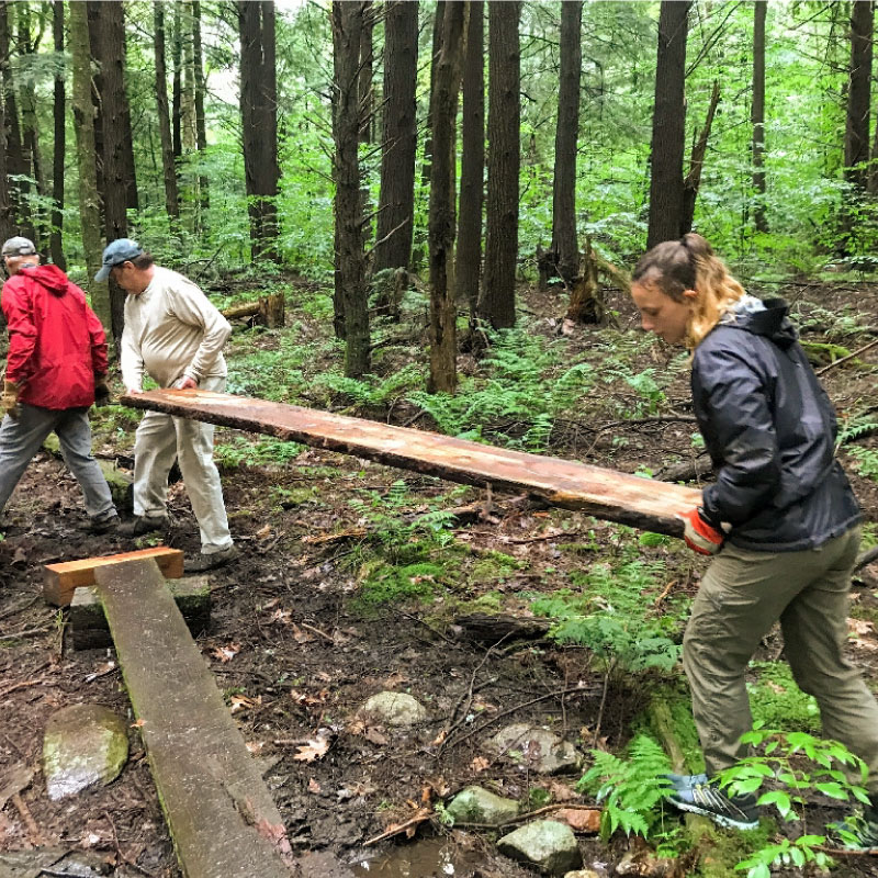 Volunteers building a bog bridge