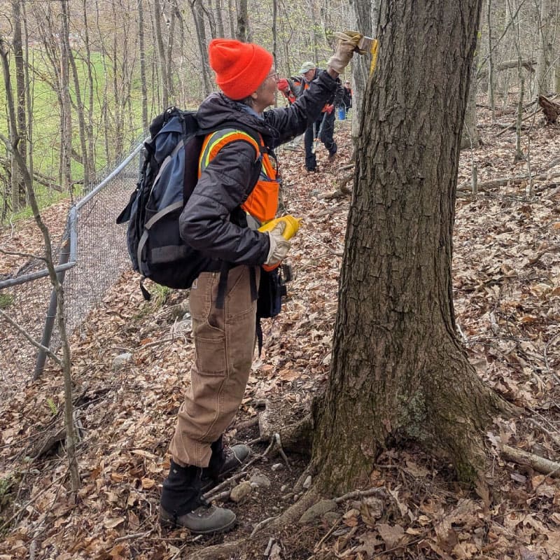 Trail maintainers