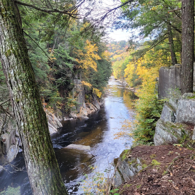 View of Chesterfield Gorge