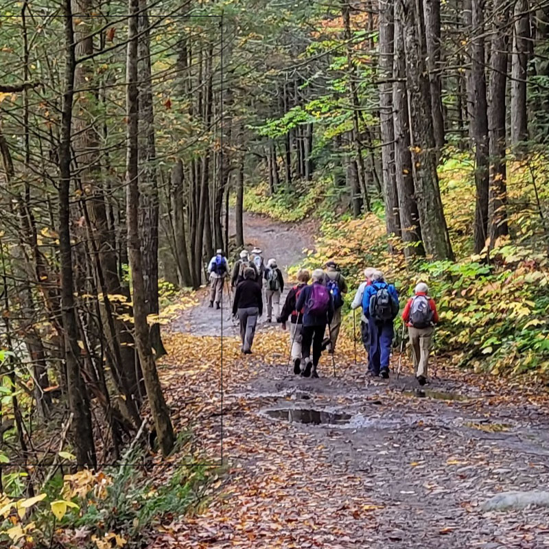 Hikers in Chesterfield Gorge