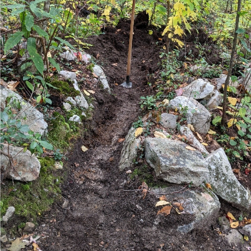 Drainage ditch