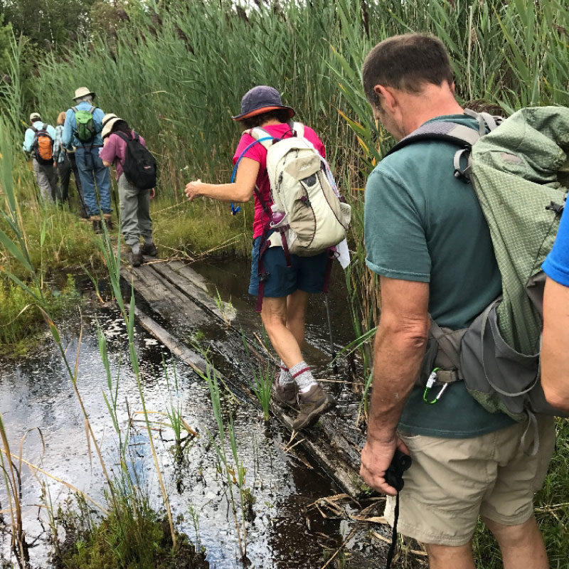 Hikers crossing a bog bridge