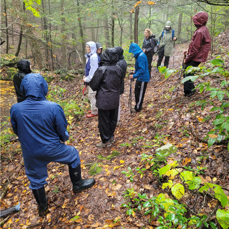 Fall hikers