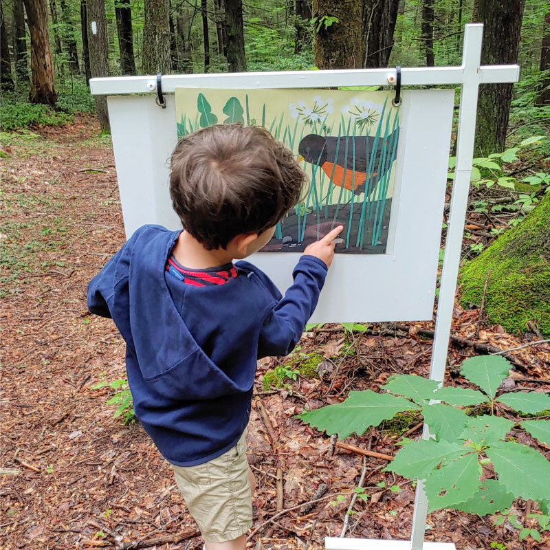 A child inspects a StoryWalk® sign