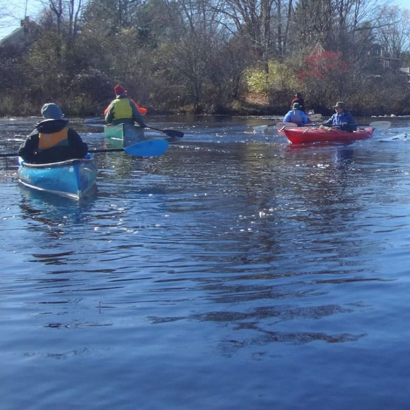 Paddlers on a pond