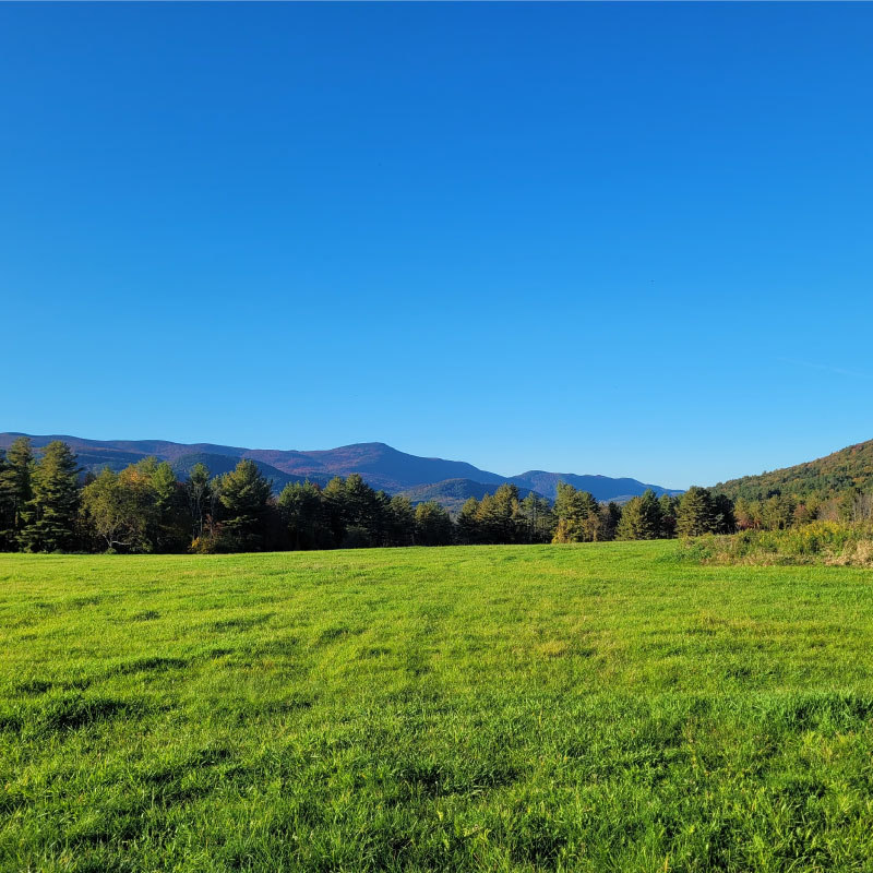View of Mount Greylock State Reservation in summer