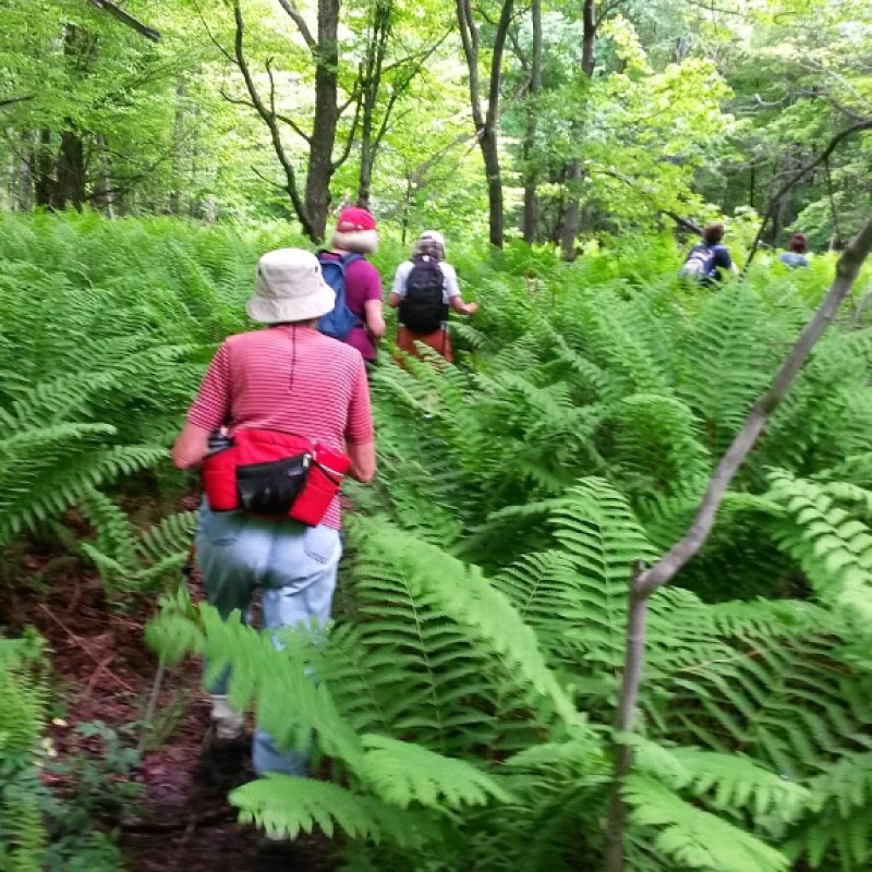 Hikers on the Woodson Spring Trail