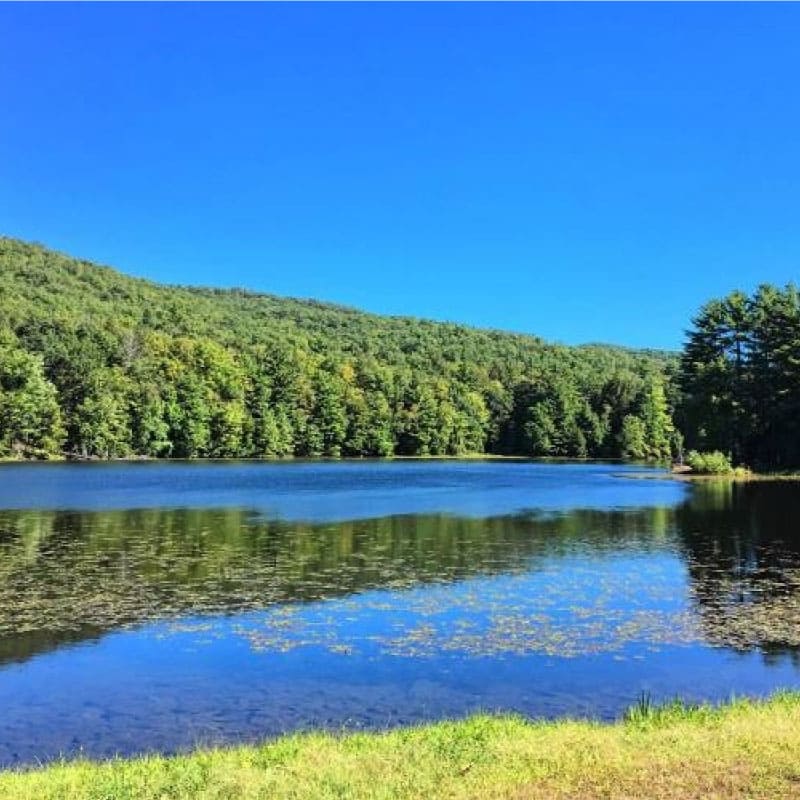 View of Lithia Springs