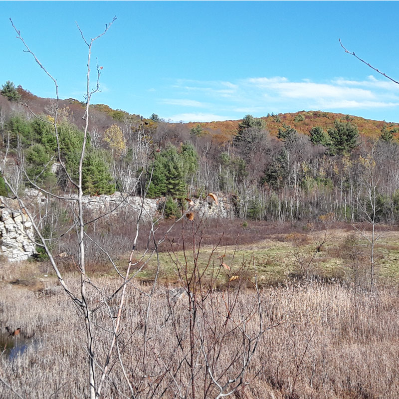 Quarry at Mineral Hills