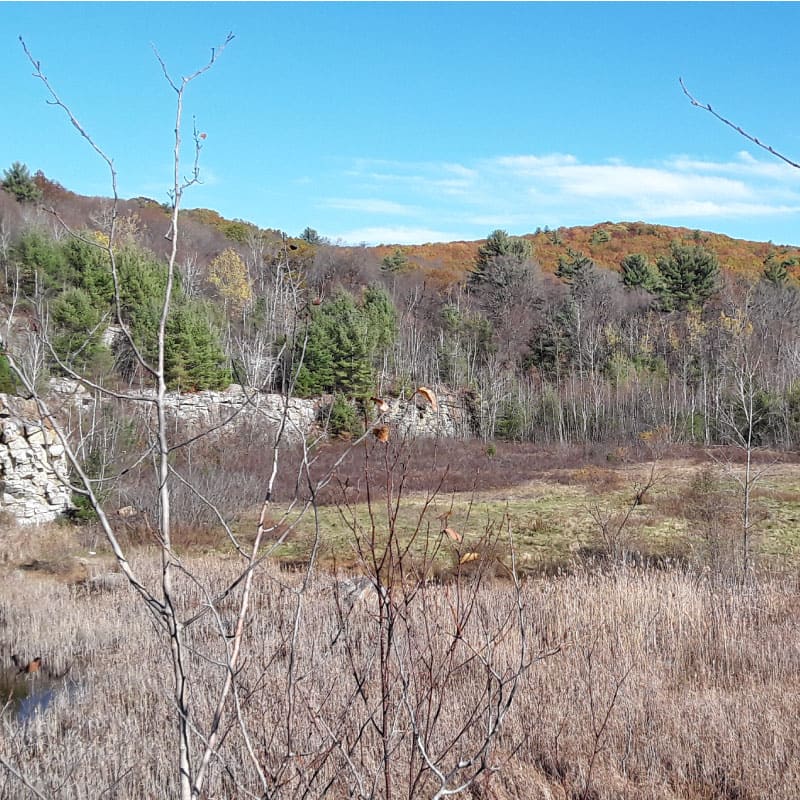 An abandoned rock quarry