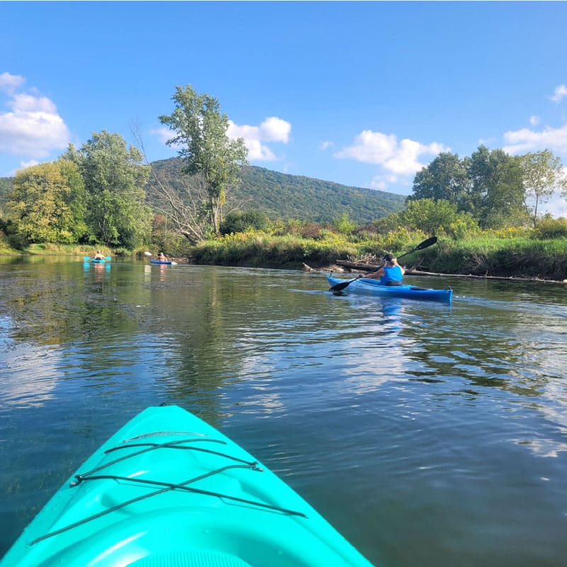 Kayakers on a pond