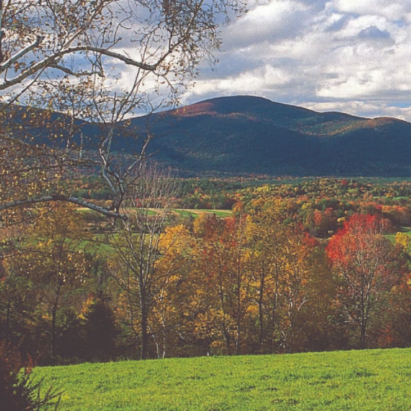 Mountain view in fall