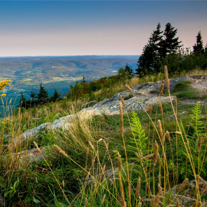 Mountain vista