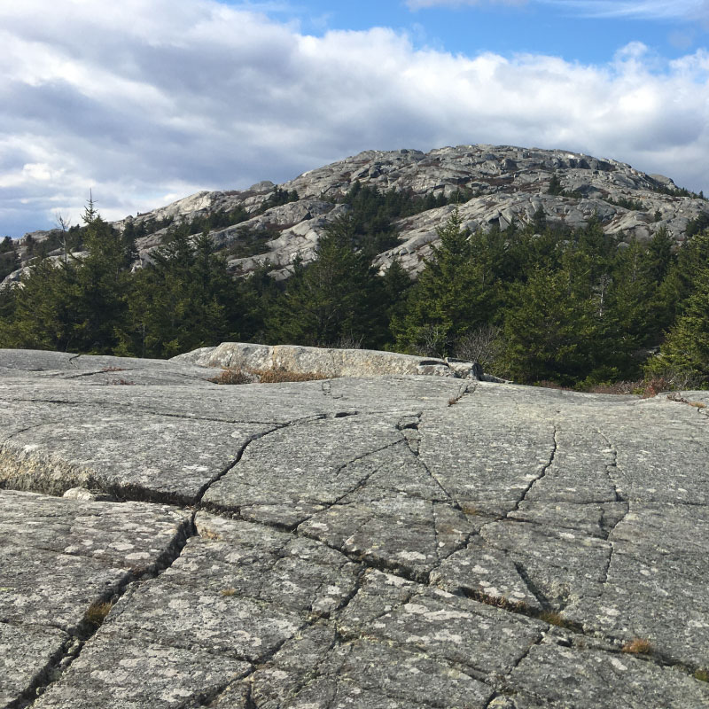 Exposed rock