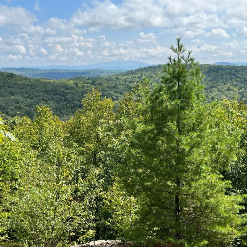 View towards Mt Monadnock