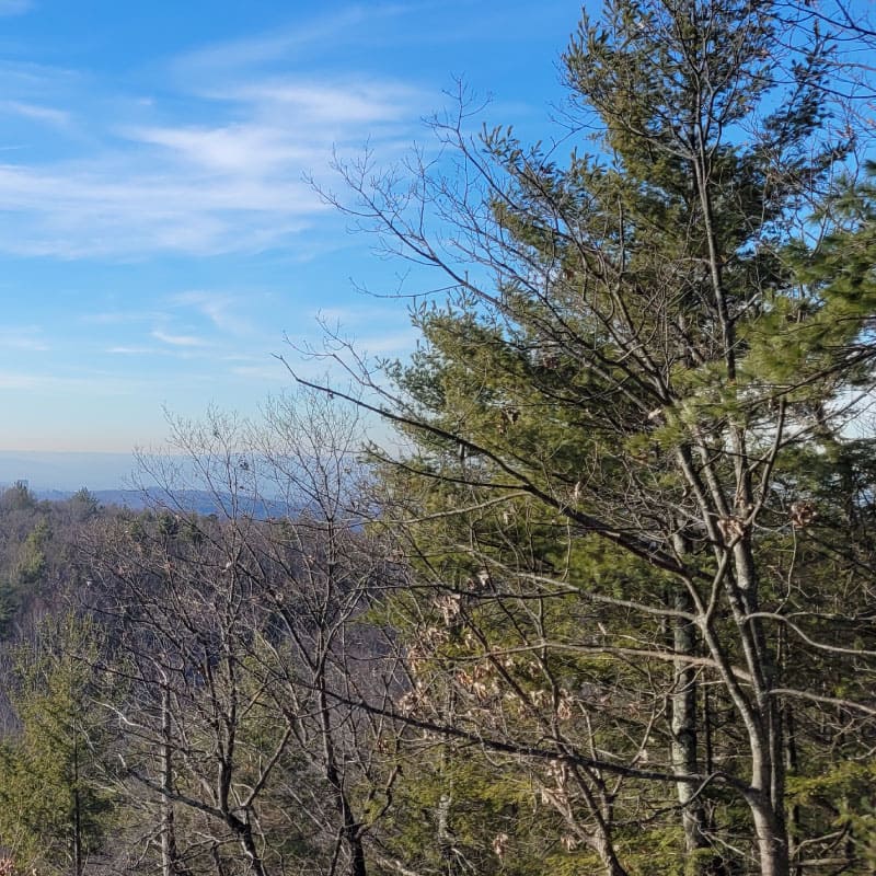 View from Mt Orient