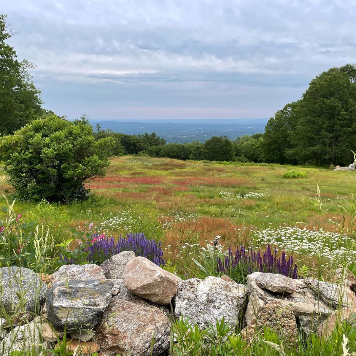 View from Noble View