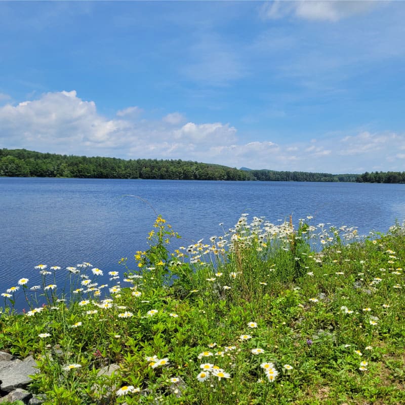 View of October Mountain Reservoir in June
