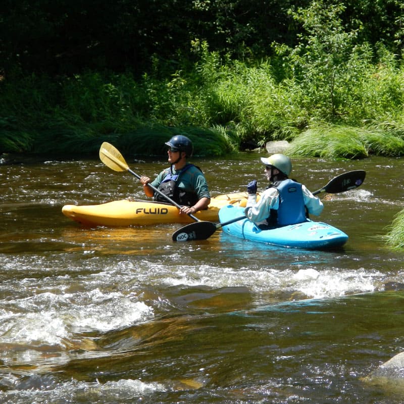 Kayakers