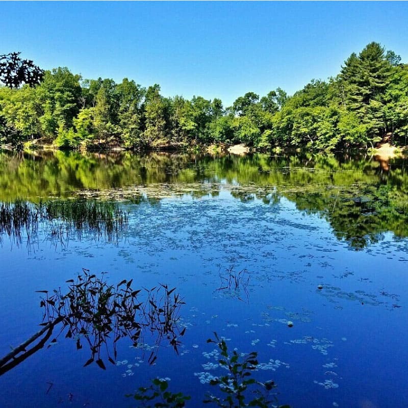 Puffer’s Pond