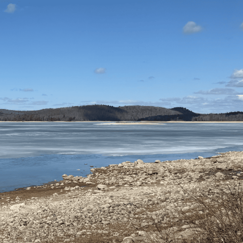 Shore of Quabbin Reservoir