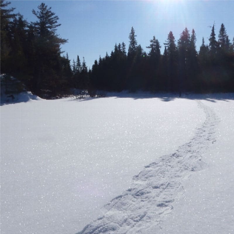 Ski tracks in snow