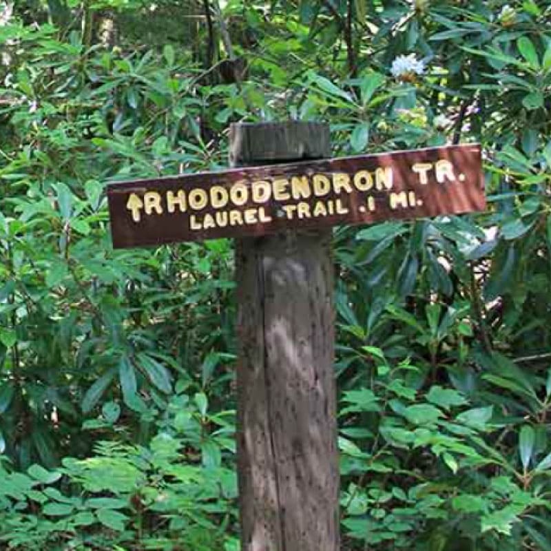 Rhododendron trail sign