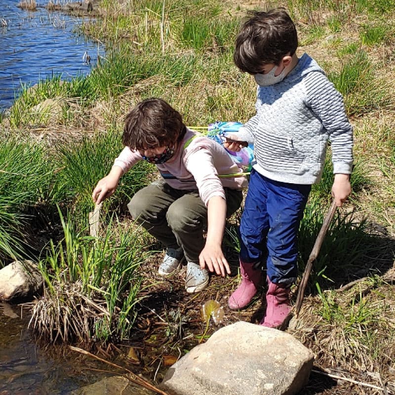Children investigate a vernal pool