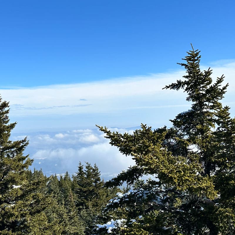 View of the sky