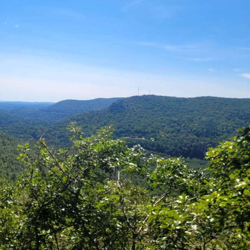 Mountain vista