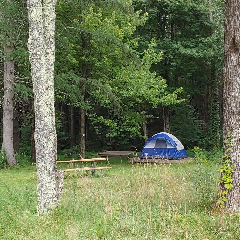 Tent on the edge of a field