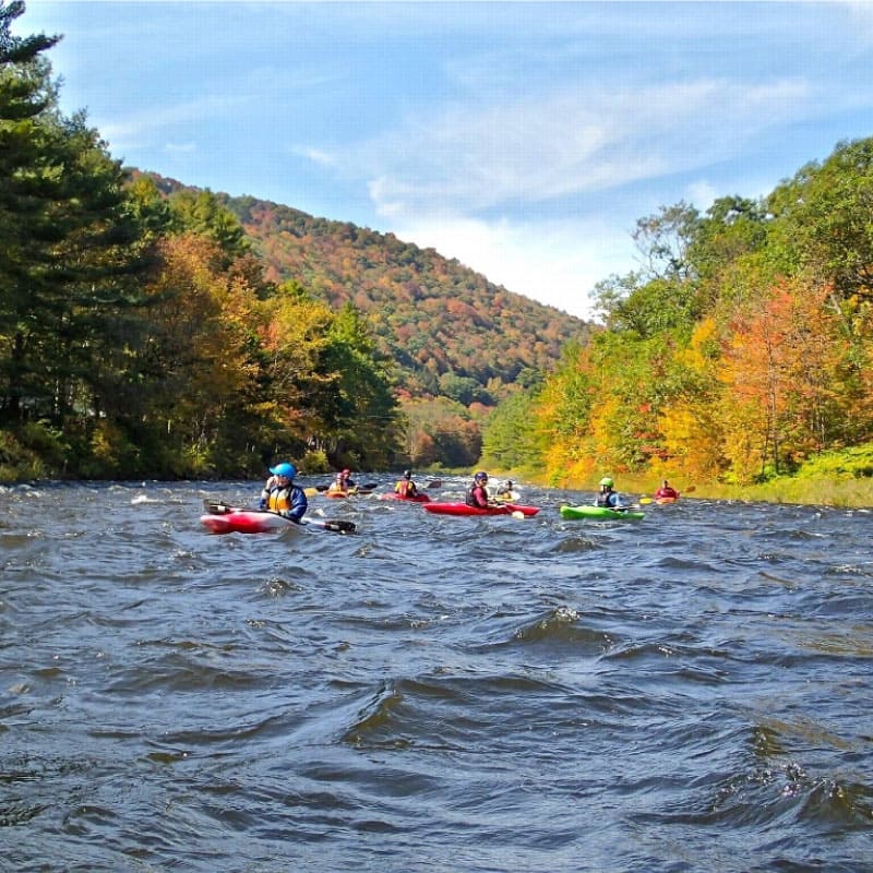 Kayakers in whitewater
