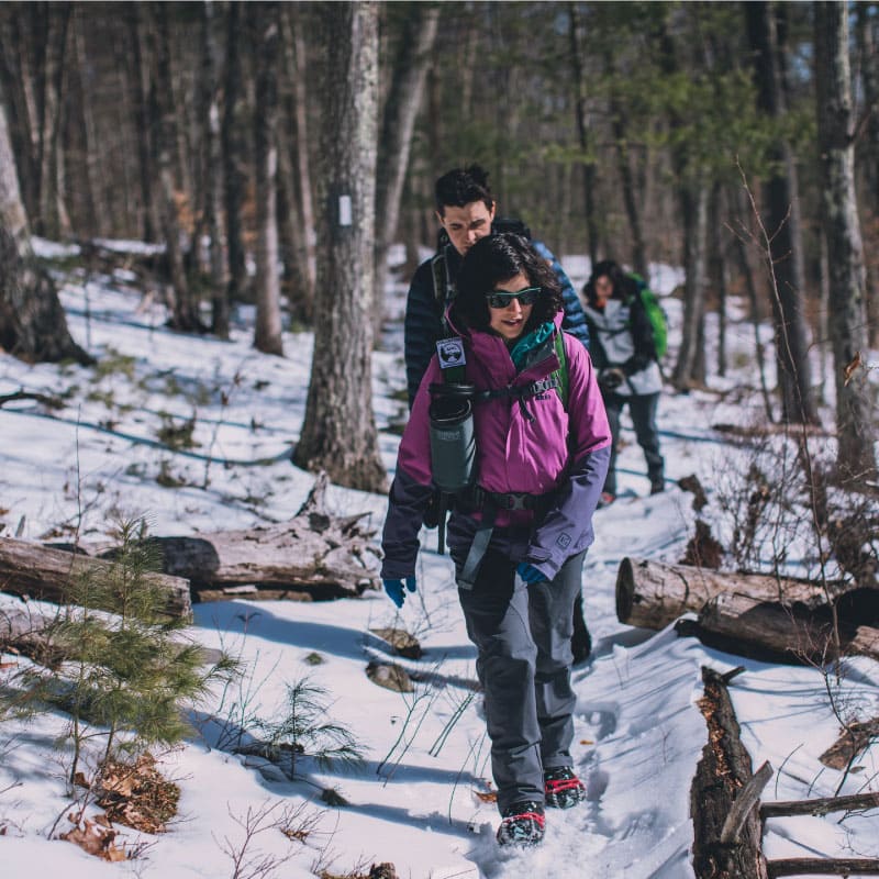 Hikers in winter