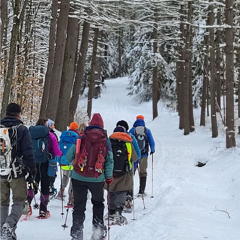 Winter hikers